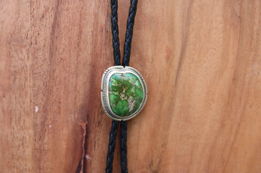 Sonoran Gold Turquoise Baby Bolo