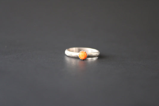 Spiny Oyster 4 millimeter round size 5