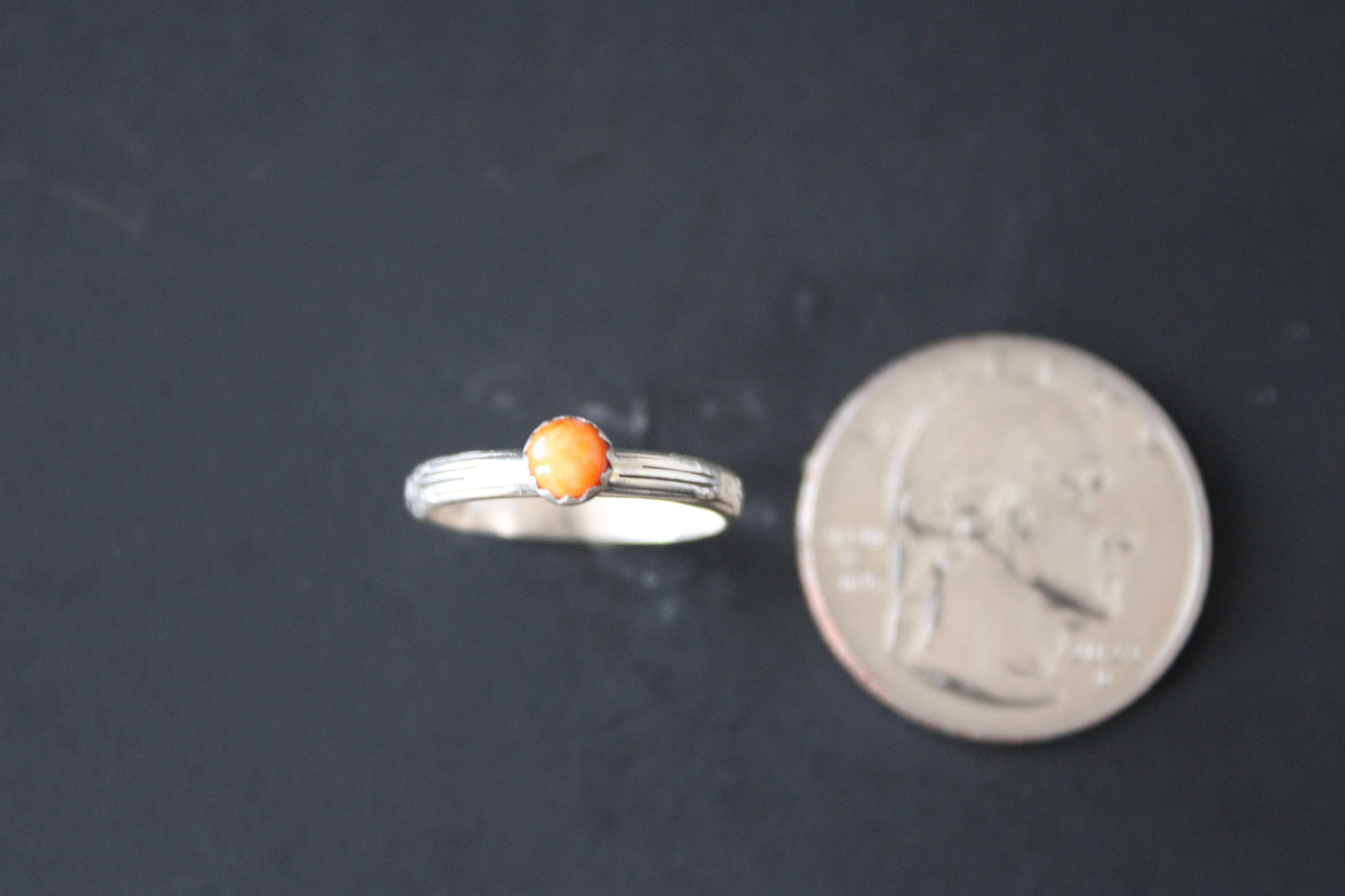 Spiny Oyster 4 millimeter round size 5